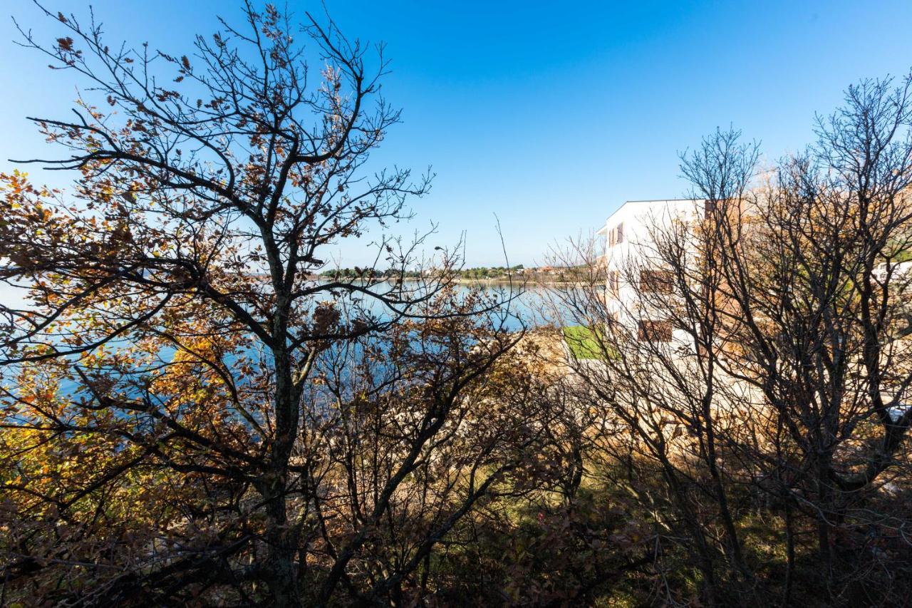 Pansion Croatia Bed & Breakfast Starigrad Paklenica Luaran gambar
